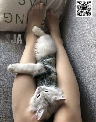 年轻的母亲5免费观看_国产剧电影完整版