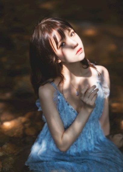 《忠犬》在线观看_1080免费播放