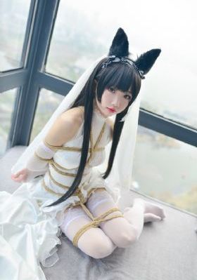 sinisistar动漫番剧免费观看_BD英语视频大全